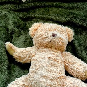 Cute teddy bear❤️